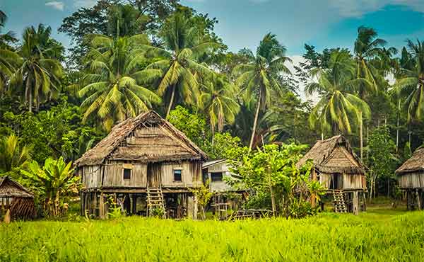 Highlands & Sepik River