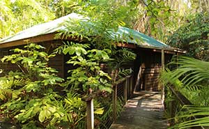 Kewarra Beach Resort & Spa