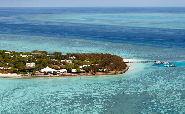 Heron Island