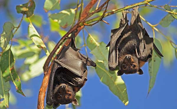 Kakadu National Park