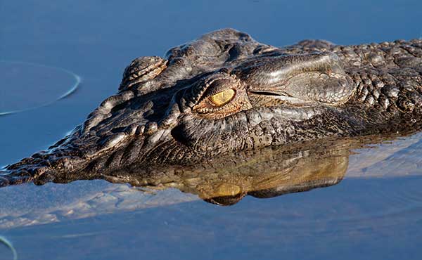 Mary River National Park