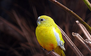 South West National Park