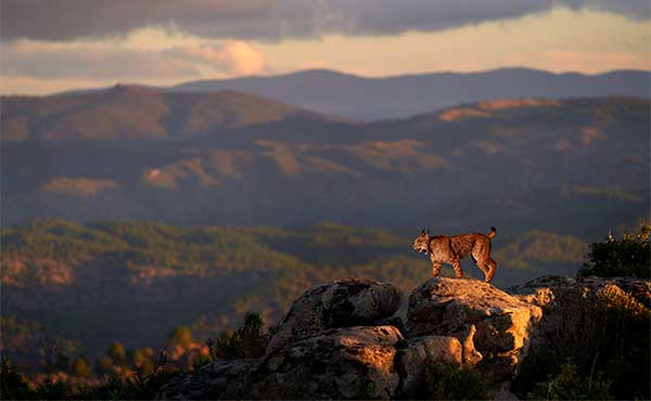 Andújar Natural Park