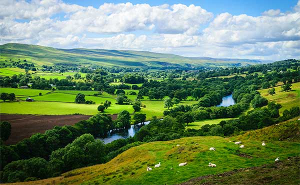 The Forest of Dean & Wye Valley