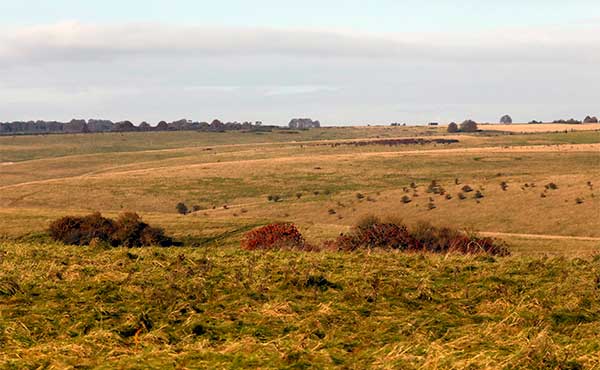 Salisbury Plain