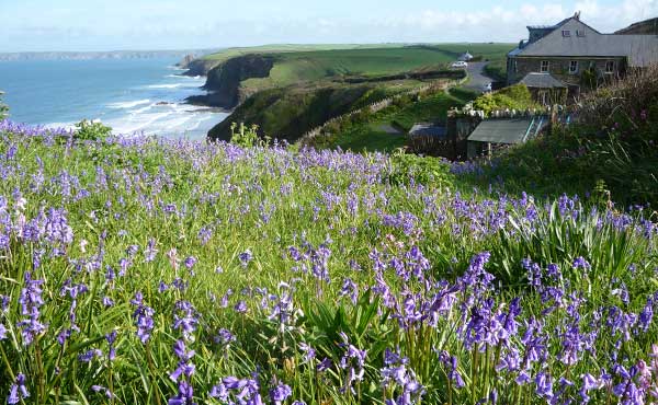 The Druidstone Hotel