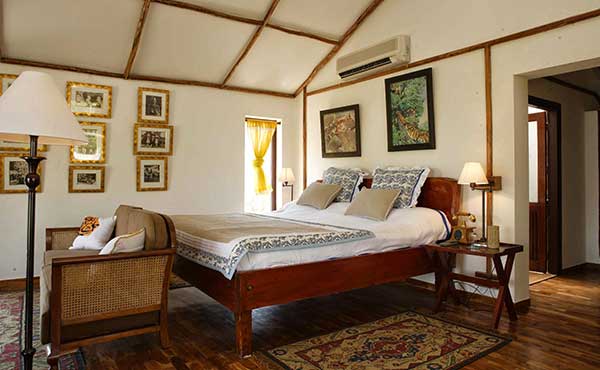 Jim’s Jungle Retreat