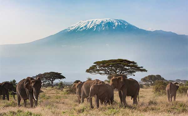 Amboseli National Park
