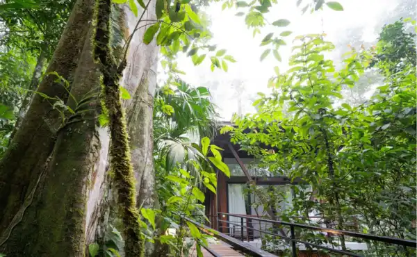 Minga Lodge & Reserve