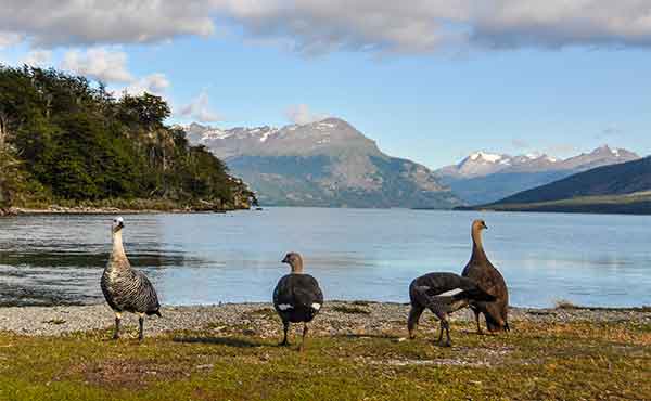 Ushuaia & Tierra Del Fuego National Park