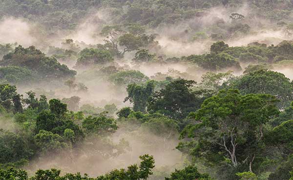 Cristalino Private Reserve, Alta Floresta