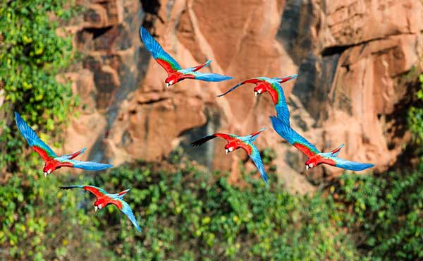 Buraco das Araras (Sinkhole of the Macaws)