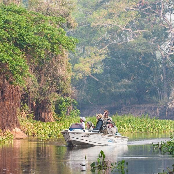 River safari in the Pantanal, Brazil