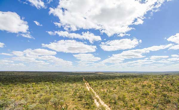 Trijuncao Private Reserve