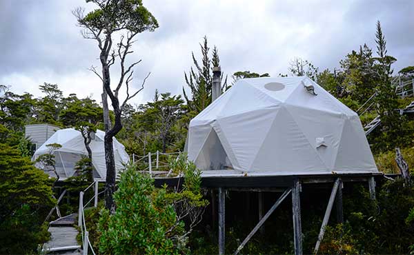 Whale Sound Eco Camp