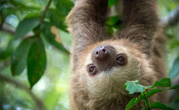 Piedras Blancas National Park