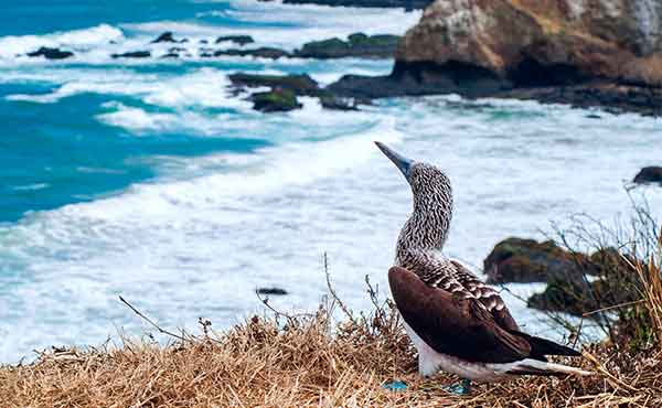 Machalilla National Park