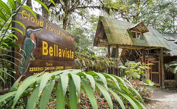 Bella Vista Cloud Forest Lodge