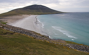 Saunders Island Cottages