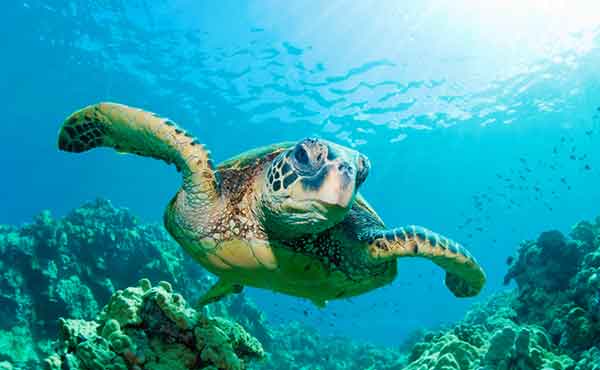 Cerro El Brujo (Wizard’s Hill)