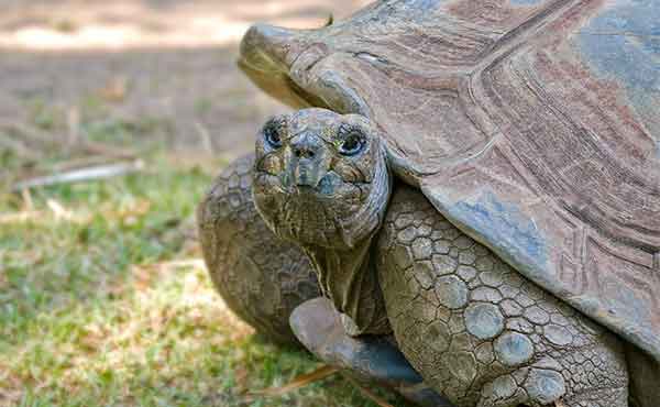 Santa Cruz Highlands