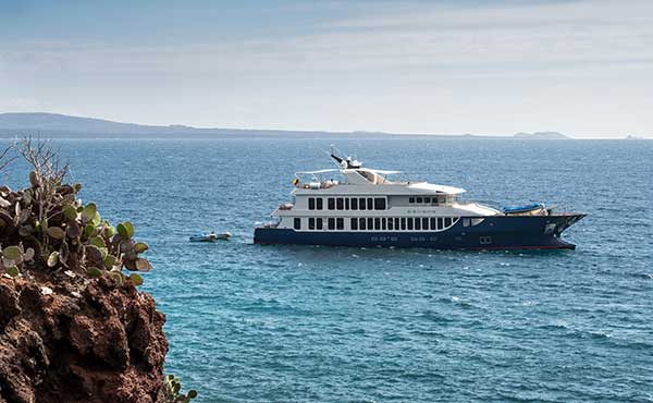 Origin, Theory & Evolve