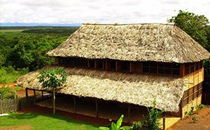 Caiman House