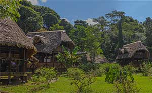 Manu Learning Centre