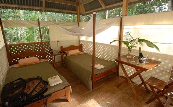 Manu Park Wildlife Centre