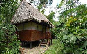 Manu Wildlife Centre