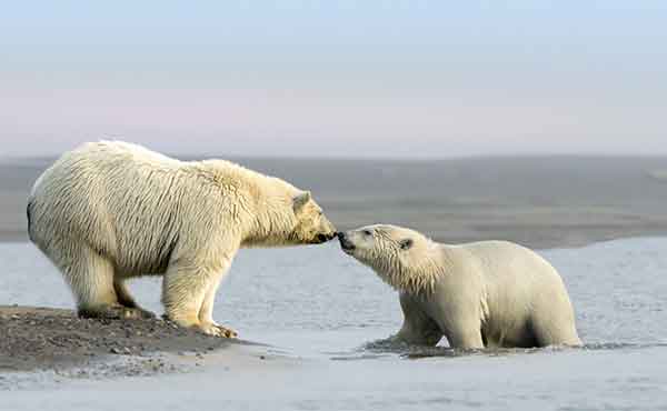 Arctic National Wildlife Refuge