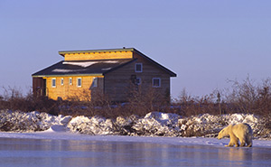 Dymond Lake Lodge