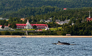Hotel Tadoussac