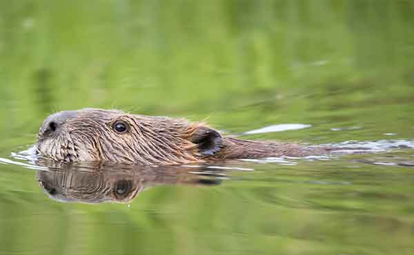 Saguenay Fjord National Park