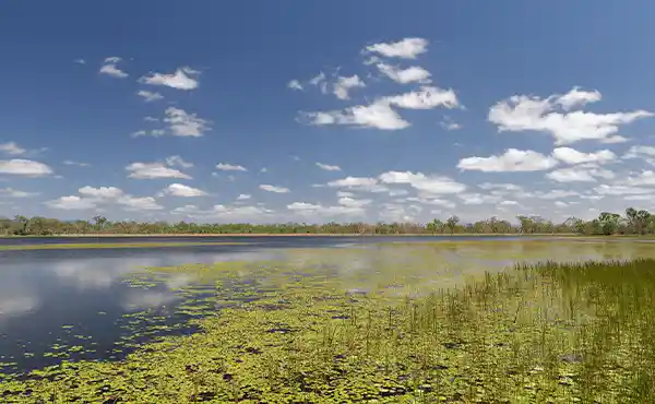 Mareeba