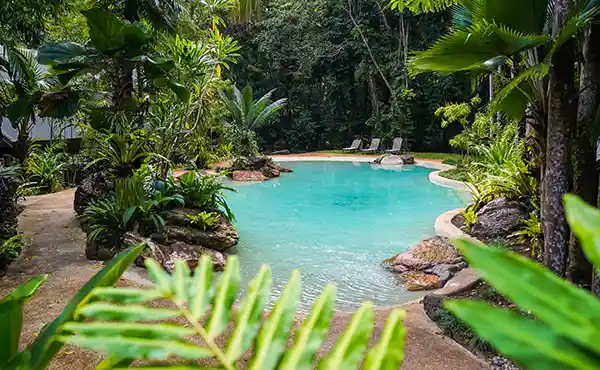 Ferntree Rainforest Lodge