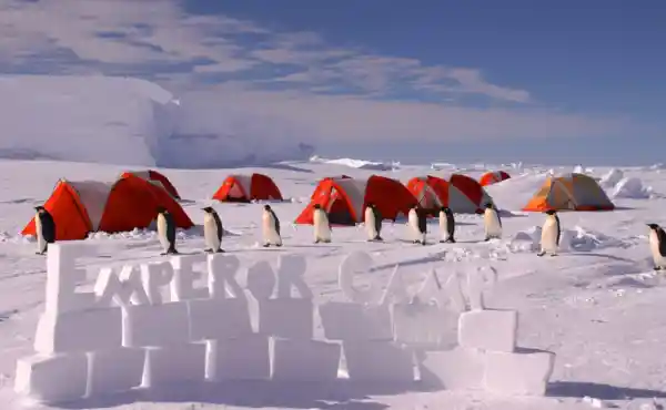 Gould Bay Emperor Penguin Camp