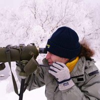 Photo of Tihomir Stefanov