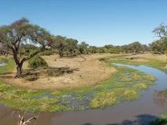 Mababe Private Reserve in Botswana.
