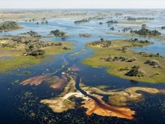 Aerial of the Okavango Delta in Botswana.