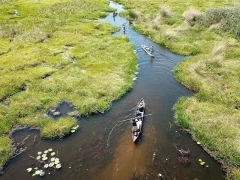 Mokoro ride in Botswana.