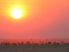 Sunset in Botswana.