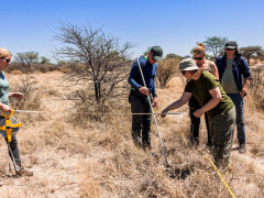 Tree conservation in Kalahari Private Reserve, South Africa.