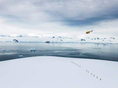Trekking in Antarctica.