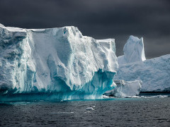 Icebergs in Port Charcot in Antarctica.