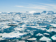 The sea full of icebergs in Greenland.
