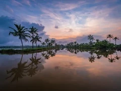 Kerala backwaters in India