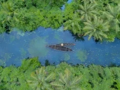 Aerial of Kerala's landscapes in India
