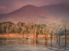 Boat in Periyar National Park, India