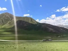 Vehicles exploring the Gouli Valley, Qinghai, China.